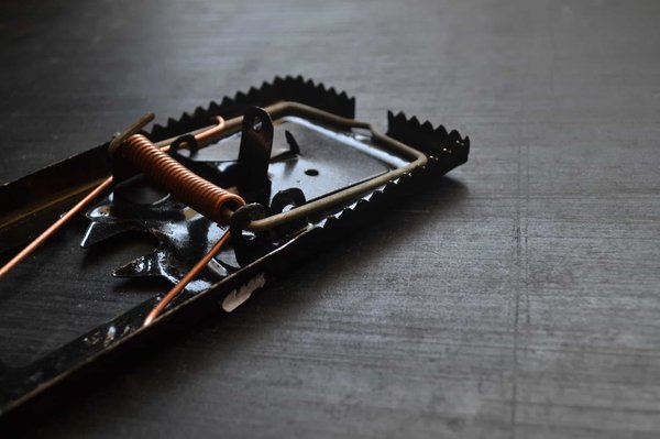 How can UK homeowners effectively manage garden pests without using harmful chemicals?